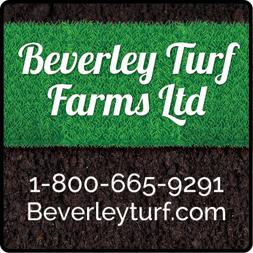 Beverley Turf Farms Ltd. BAG-YIG-BEAV-ON-1