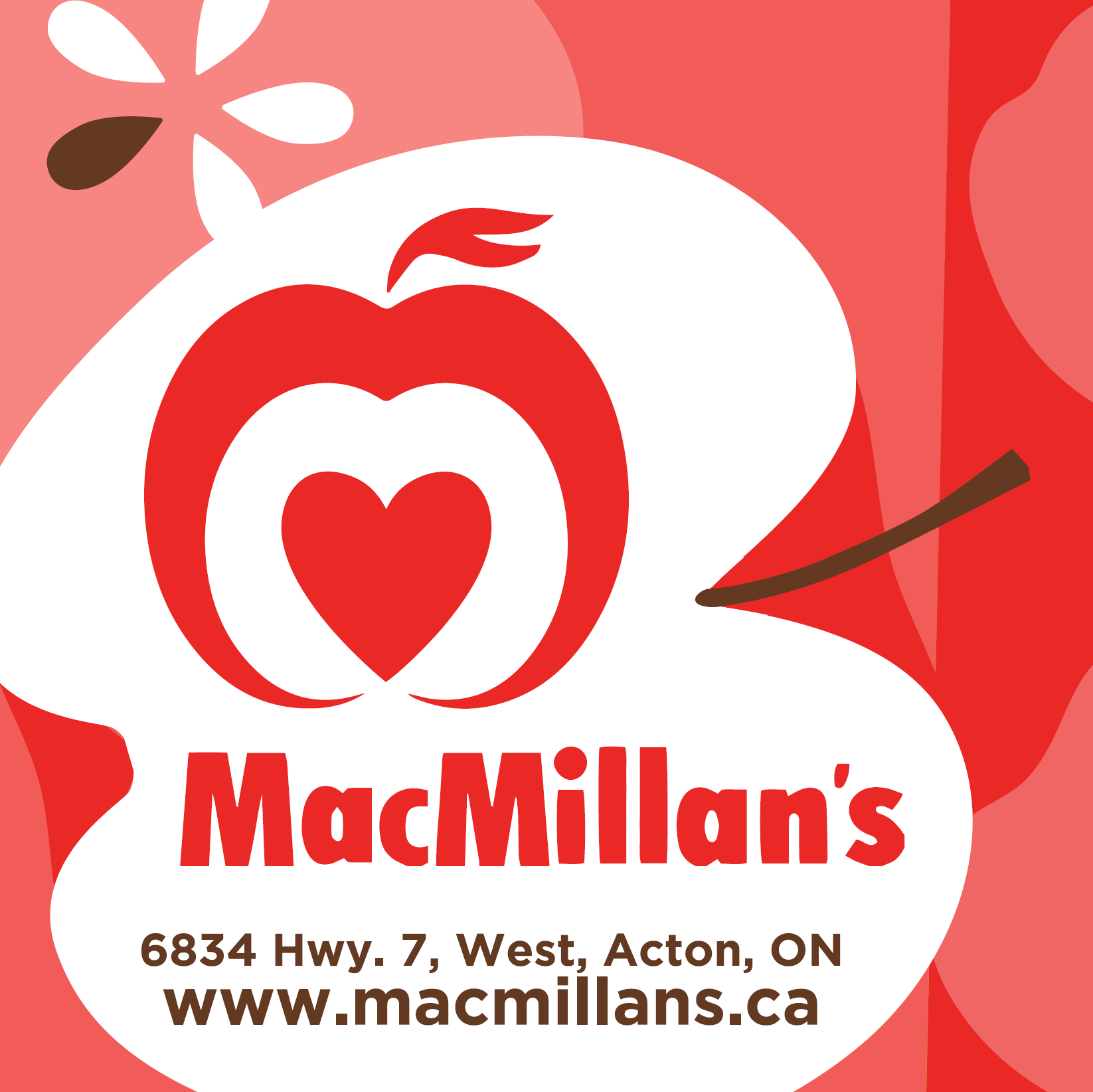 MacMillan's