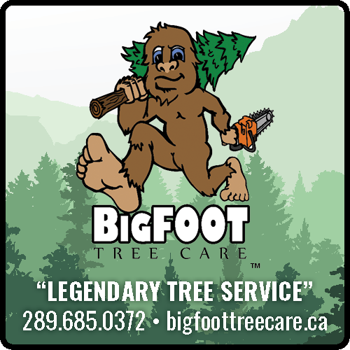 Big Foot Tree Care