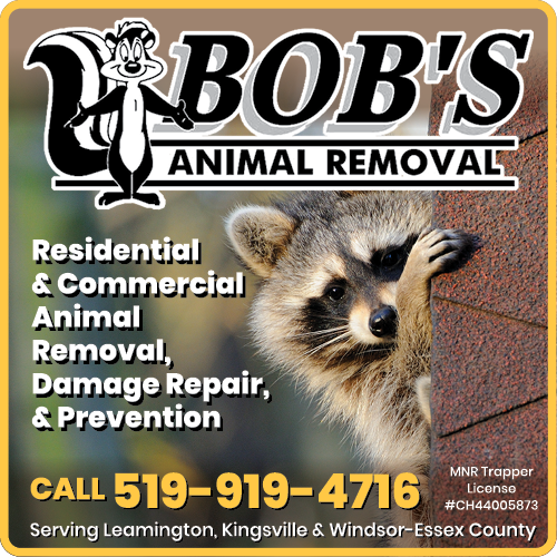 Bob's Animal Removal