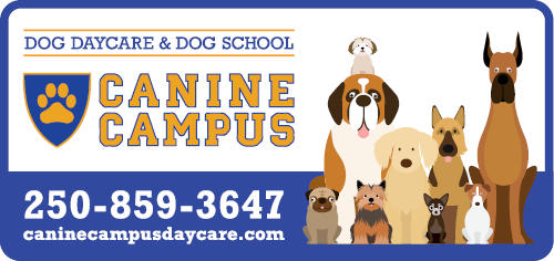Canine Campus Dog Daycare