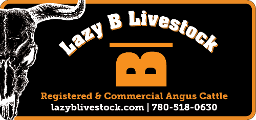 Lazy B Livestock