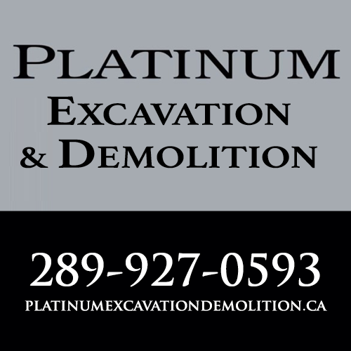 Platinum Excavation