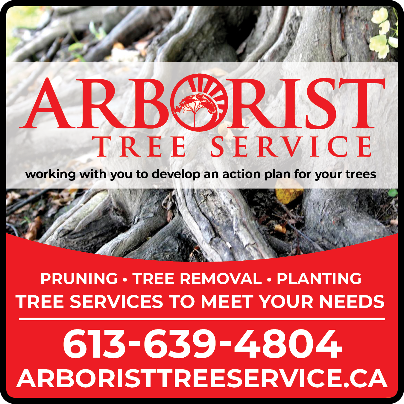 Arborist Tree Service