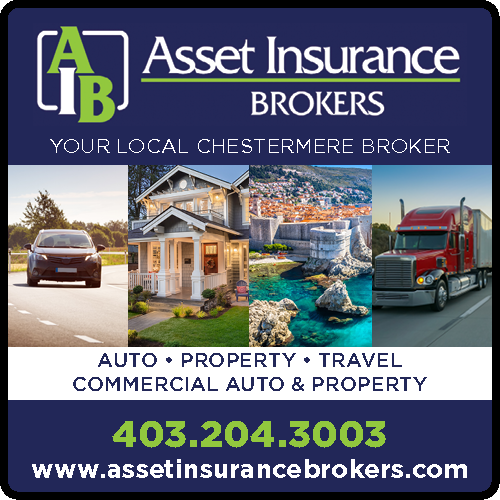 Asset Insurance Brokers