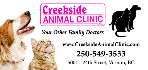 Creekside Animal Clinic LTD