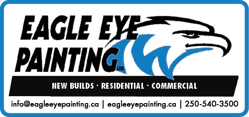 Eagle Eye Painting