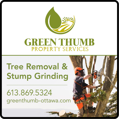 Green Thumb Property Services