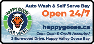 Happy Goose Car Wash