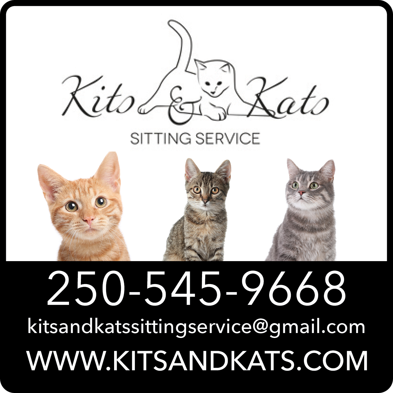 Kits & Kats Sitting Service