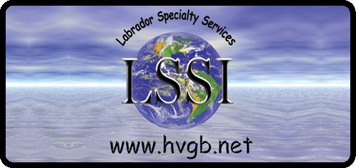Labrador Specialty Services Inc