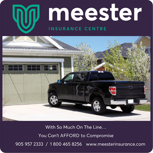 Meester Insurance Centre