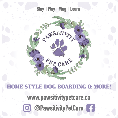 Pawsitivity Pet Care