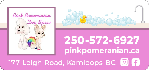 Pink Pomeranian Dog Spaw LTD