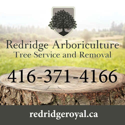 Redridge Arboriculture