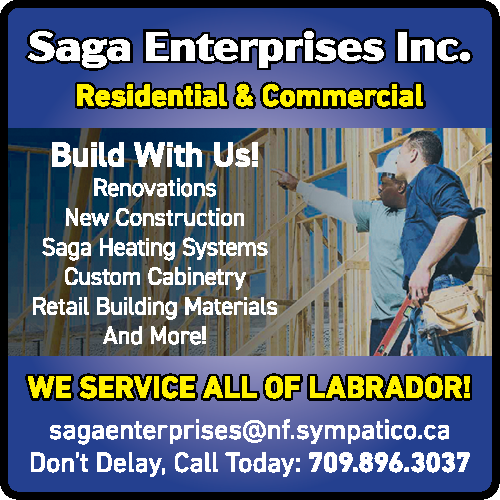 Saga Enterprises Inc
