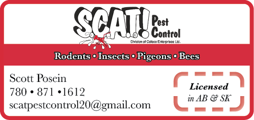 Scat Pest Control