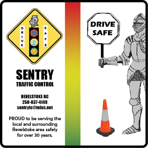 Sentry Traffic Control