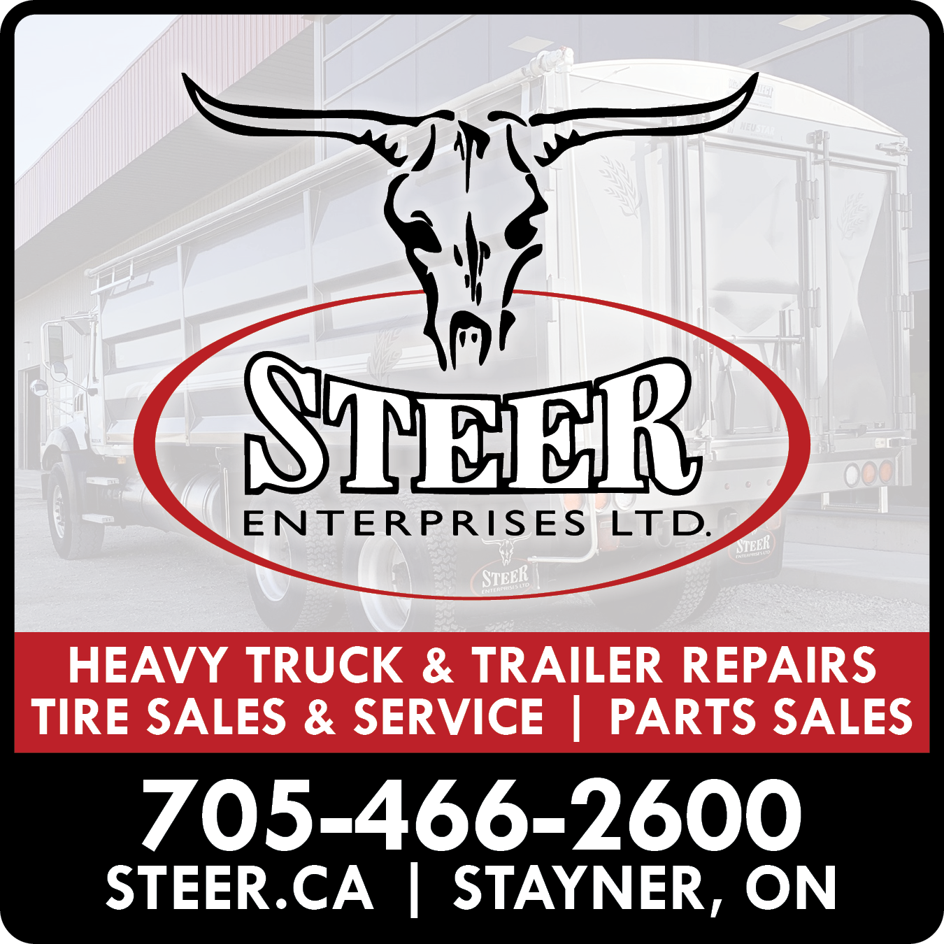 Steer Enterprises Ltd