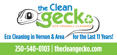 The Clean Gecko