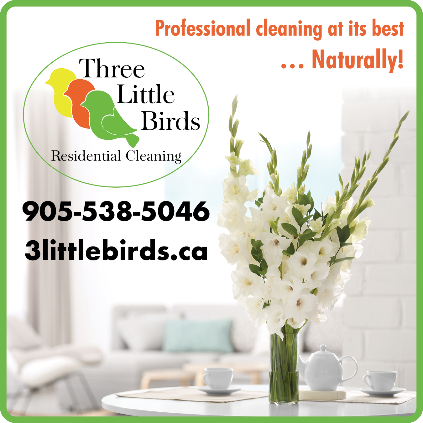 Three Little Birds Residential Cleaning