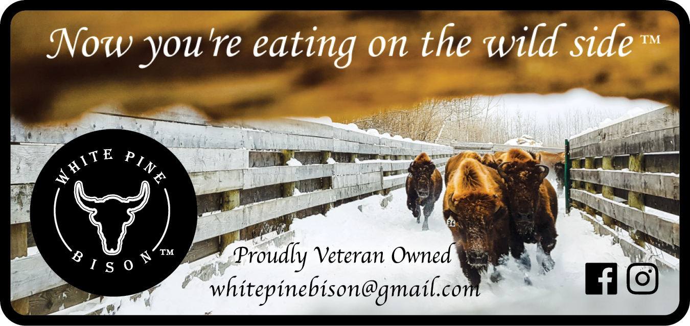 White Pine Bison
