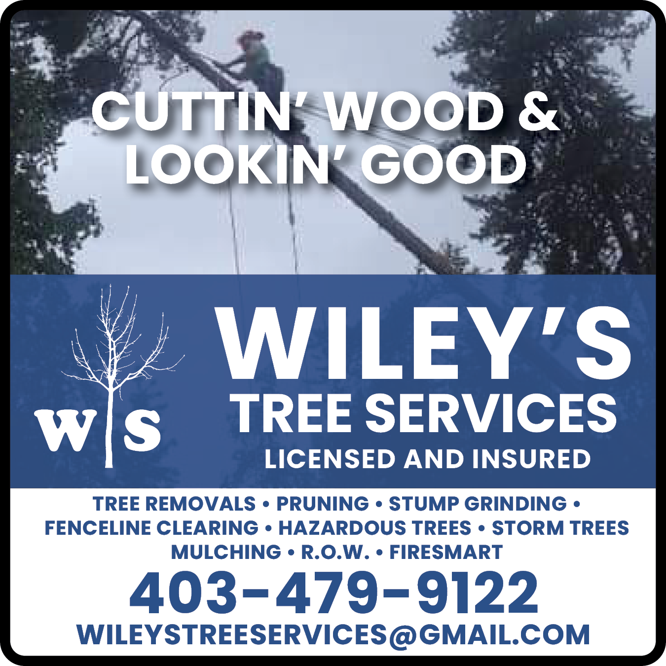 Wileys Tree Services