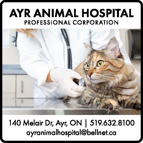 Ayr Animal Hospital
