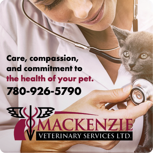 Mackenzie Veterinary Services