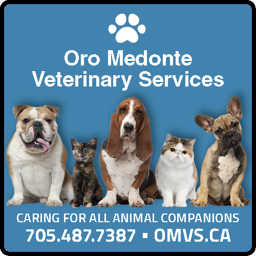 Oro Medonte Veterinary Services