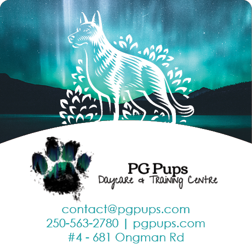 PG Pups Day Care & Training