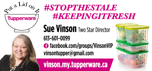 Sue Vinson 2 Star Director Tupperware
