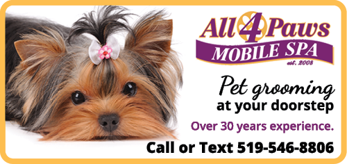 All 4 Paws Mobile Spa