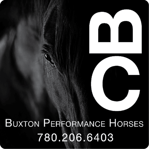 Buxton Performance Horses