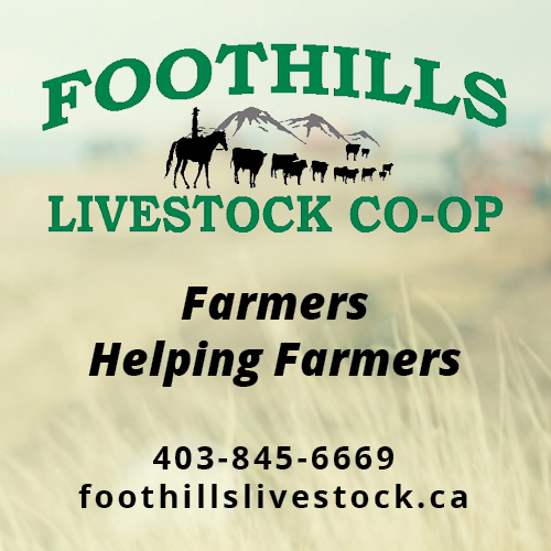 Foothills Livestock Co-Op