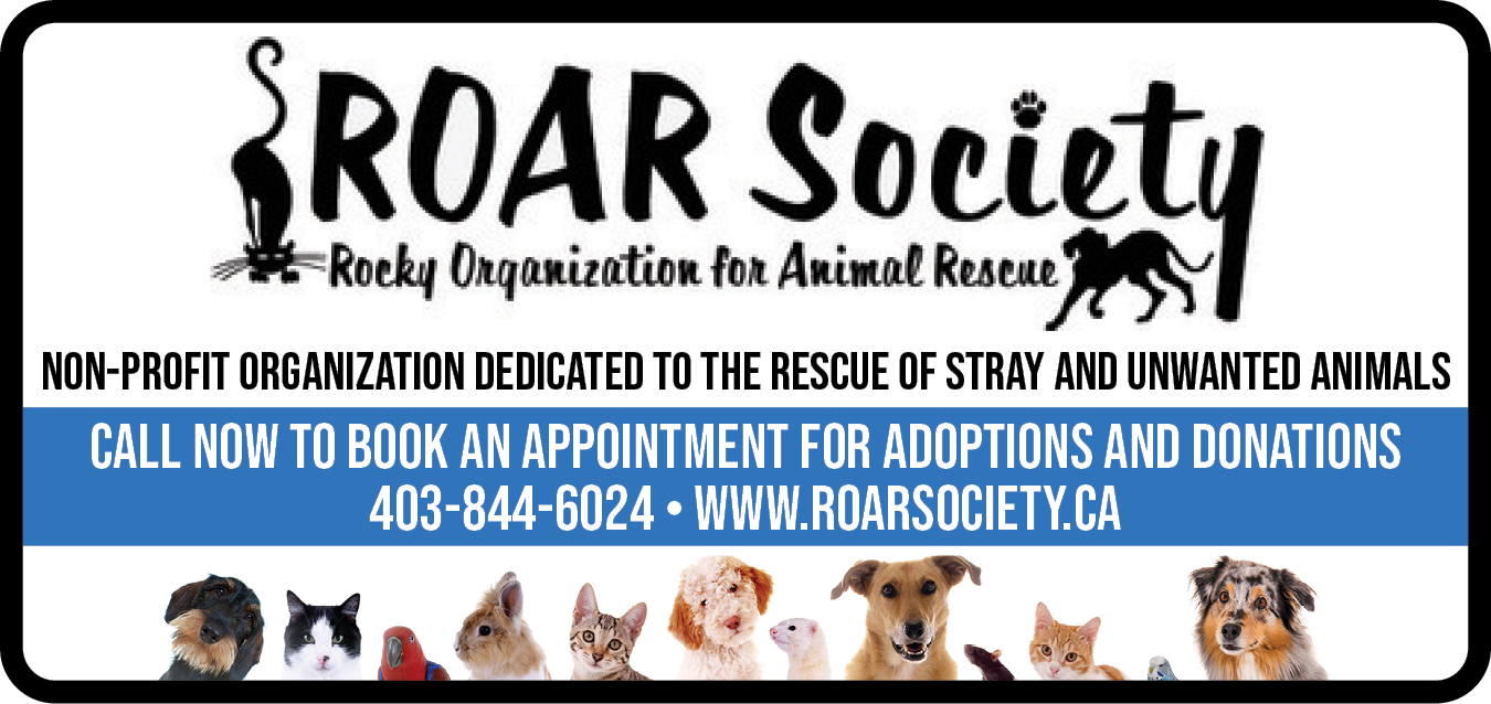 Roar Society