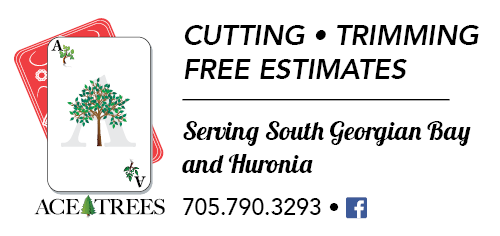Ace Tree Services