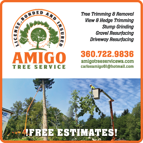 Amigo Tree Service