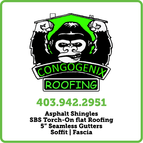CongoGenix Roofing