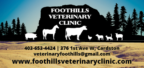 Foothills Vet Clinic