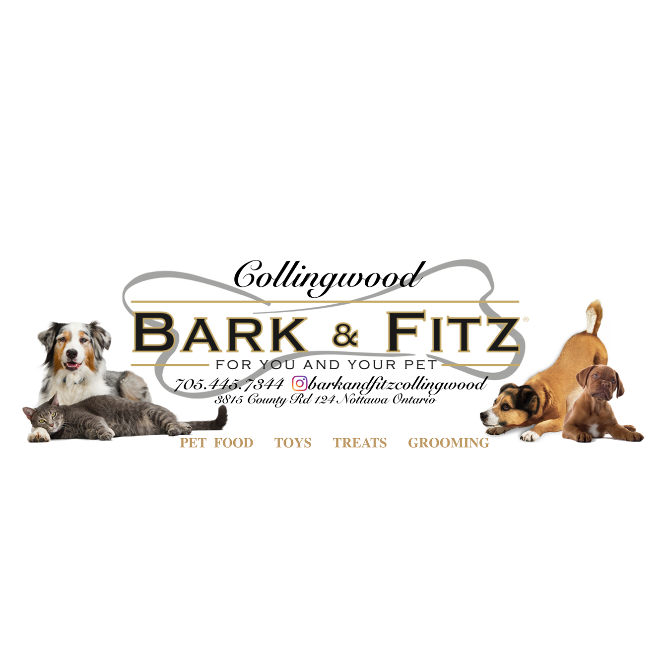 Greenhawk Bark & Fitz