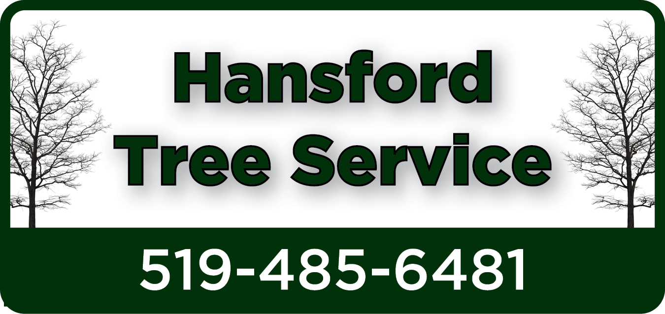 Hansford Tree Service