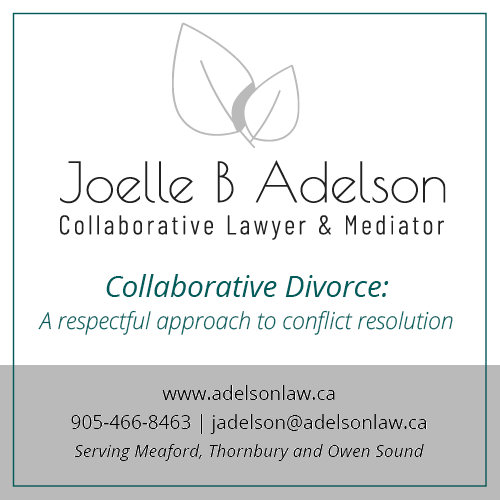 Joelle Adelson Collaborative Lawyer & Mediator