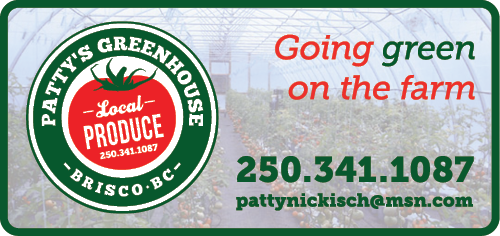 Patty's Greenhouse