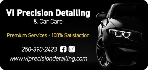 VI Precision Detailing & Car Care