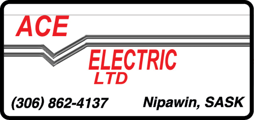 Ace Electric Ltd