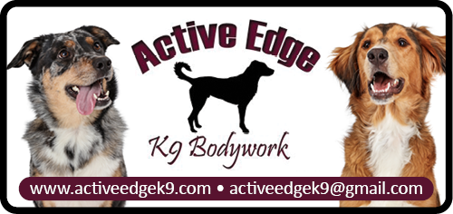 Active Edge K9 Bodywork