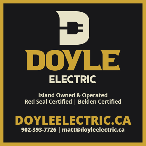 Doyle Electric Inc.