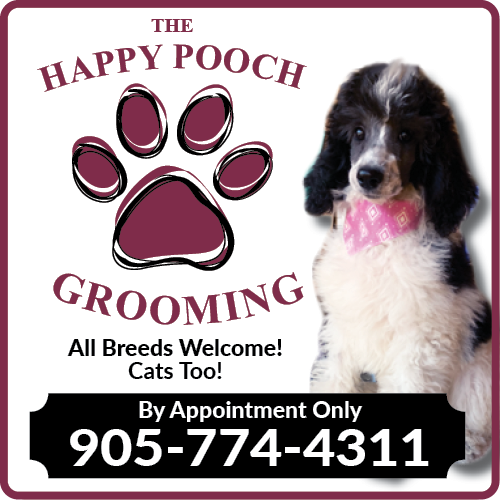 Happy Pooch Grooming