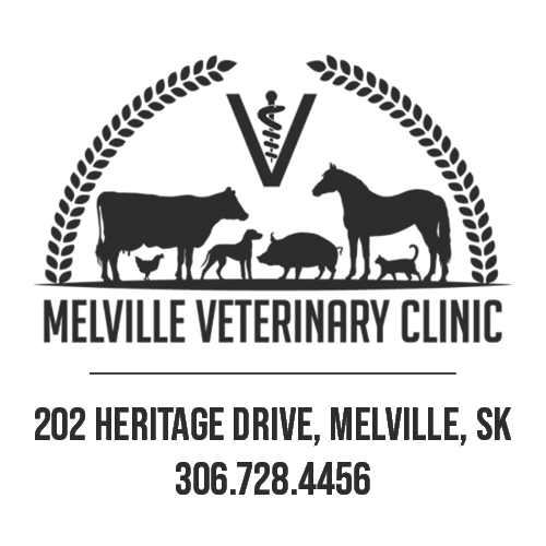Melville Vet Clinic
